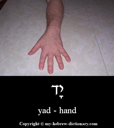 Hand in Hebrew