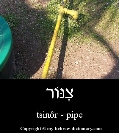 Pipe in Hebrew