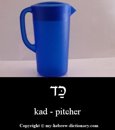 Pitcher in Hebrew