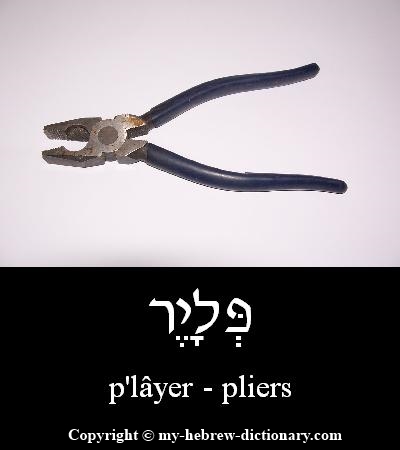 Pliers in Hebrew