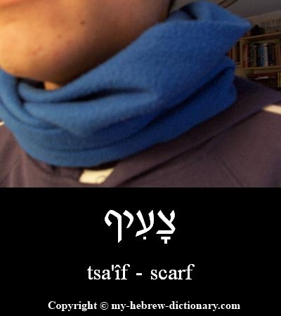 Scarf in Hebrew