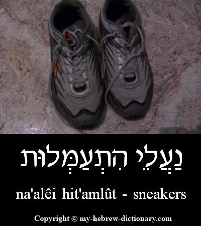 Sneakers in Hebrew