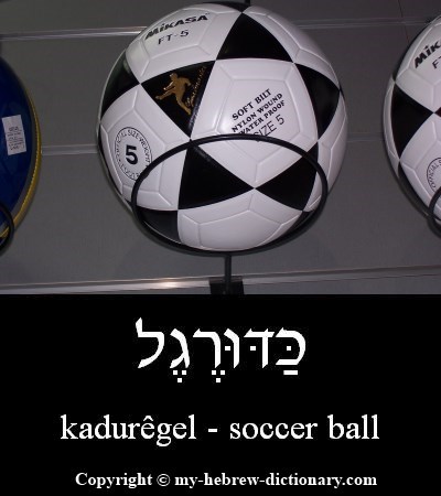 Soccer Ball in Hebrew