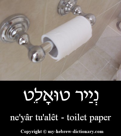 Toilet Paper in Hebrew