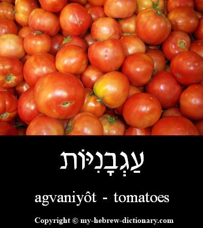Tomatoes in Hebrew