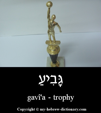 Trophy in Hebrew